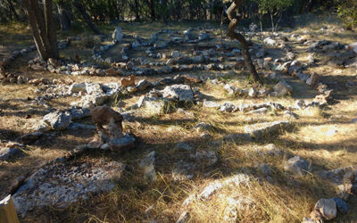 Day of Building: Samadhi Yoga Labyrinth 2021